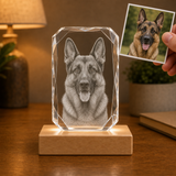 Personalized Pet Memorial 3D Crystal Gift - 24-Facet