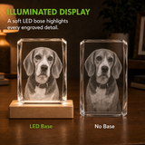 Personalized Pet Memorial 3D Crystal Gift - 24-Facet