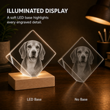 Personalized Pet Memorial 3D Crystal Gift - Diamond