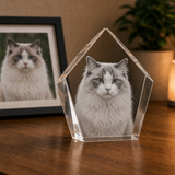 Personalized Pet Memorial 3D Crystal Gift - Peak