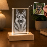 Personalized Pet Memorial 3D Crystal Gift - Rectangle