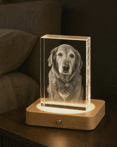 Personalized pet memorial crystal featuring a dog portrait, LED wooden base, matching heart necklace, and gift-ready box.